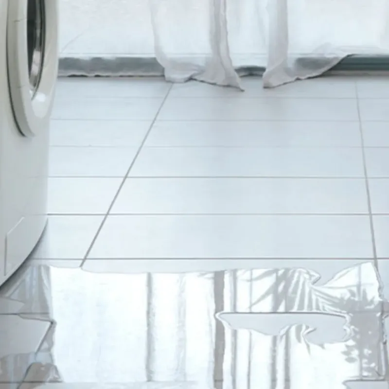 Appliance Leak Cleanup in Piedmont, SC