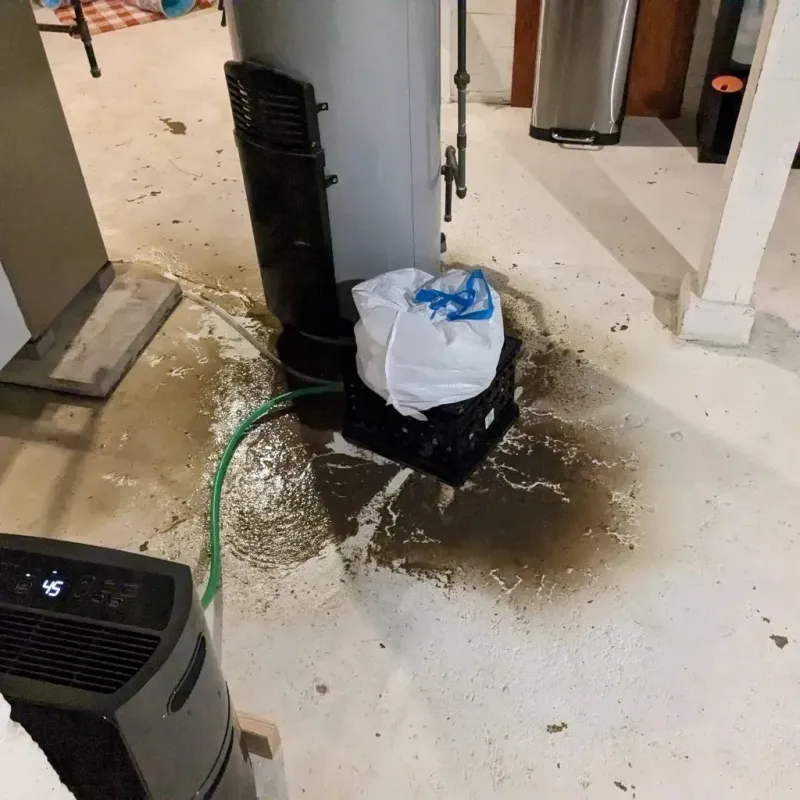 Sewage Backup Cleanup Service in Piedmont, SC
